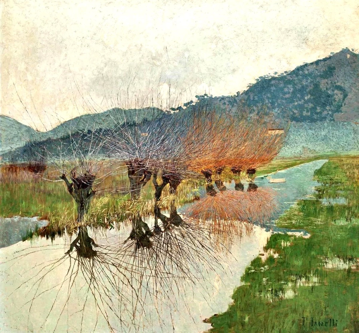 Salici sul canale